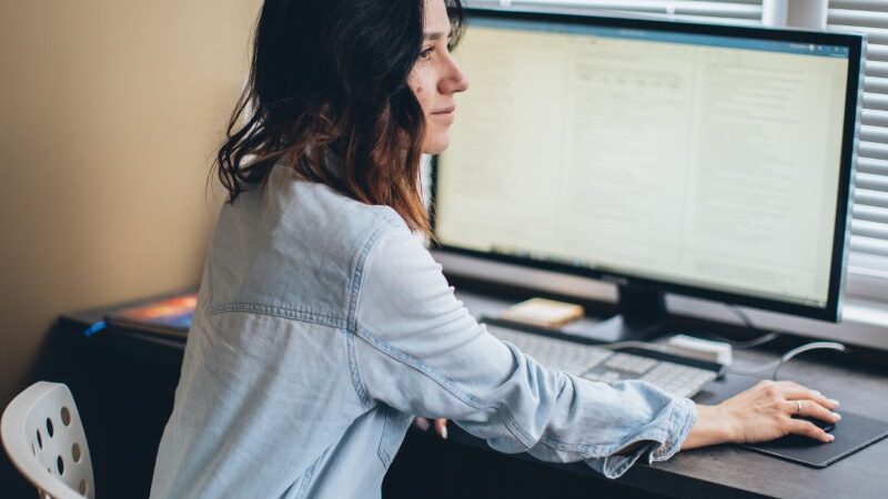 online phd history